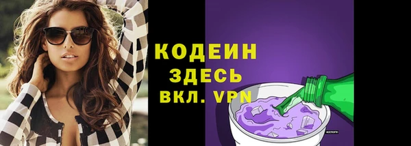 стаф Кулебаки