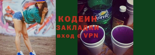 стаф Кулебаки