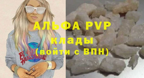 стаф Кулебаки