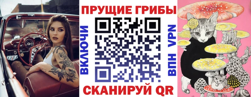 Купить  Дегтярск  Галлюциногенные грибы ЛСД 